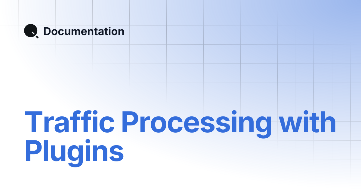 Traffic Processing with Plugins | Documentation